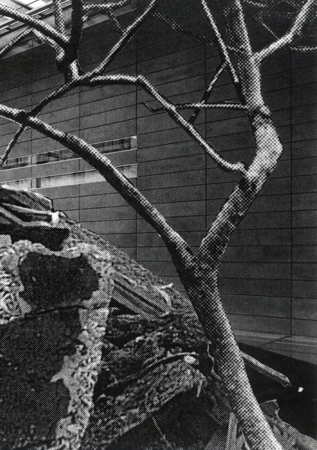 Asbjørn Skou img842 edited small