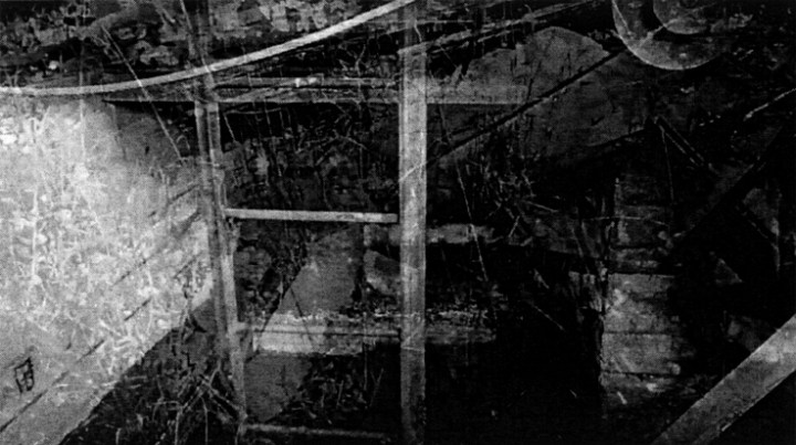 img245 edited  small