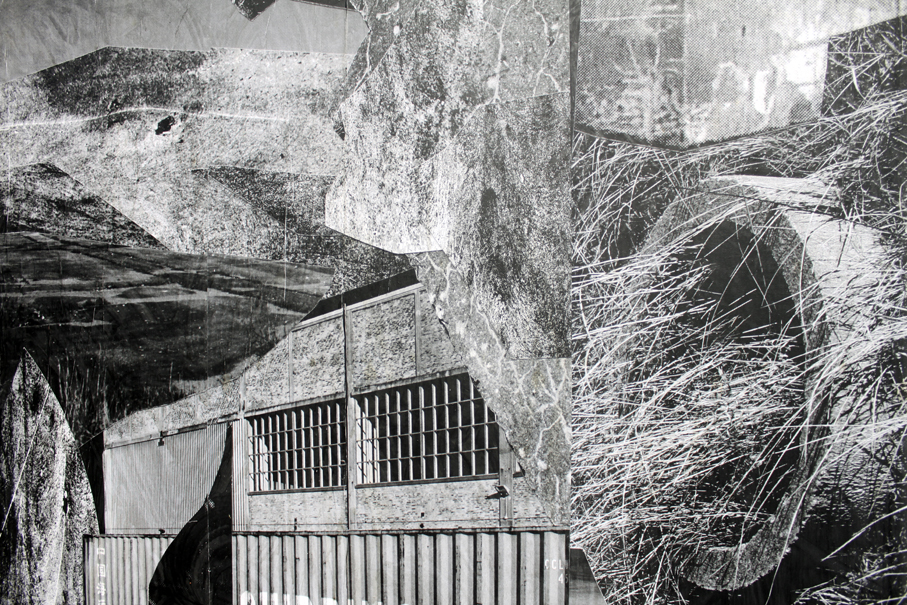 IMG_0364 edited small