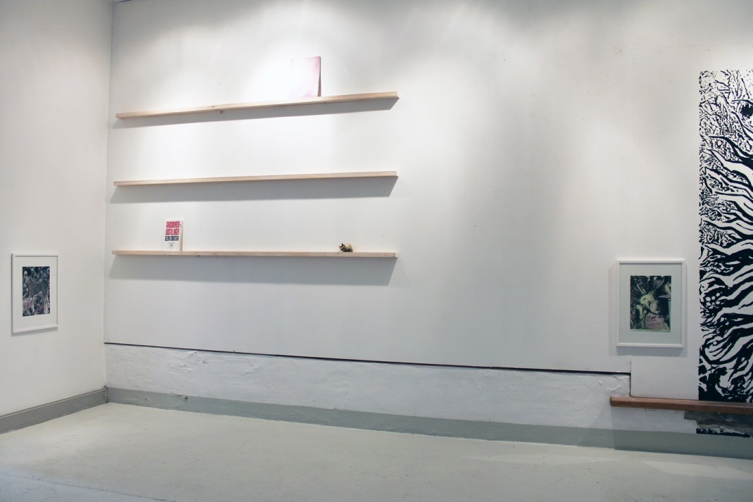 10-asbjorn-skou-leukoplakiaktisk-vegetation