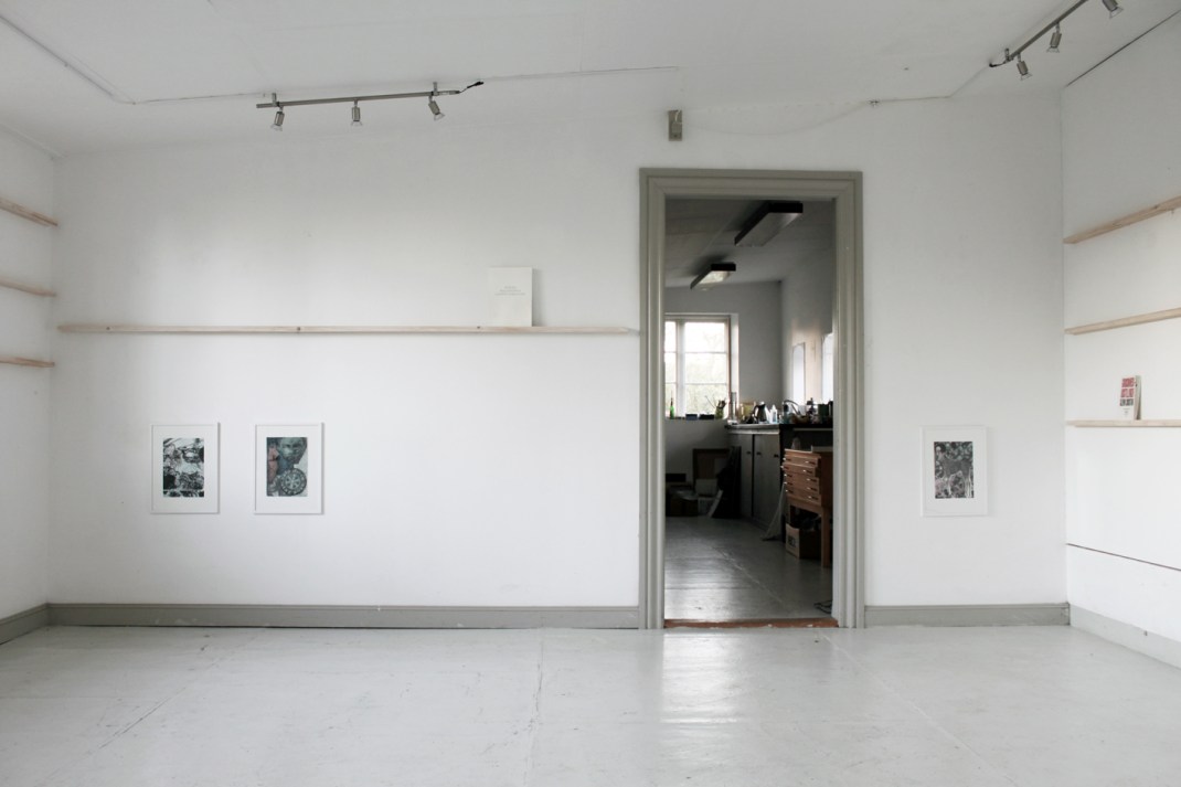 11-asbjorn-skou-leukoplakiaktisk-vegetation