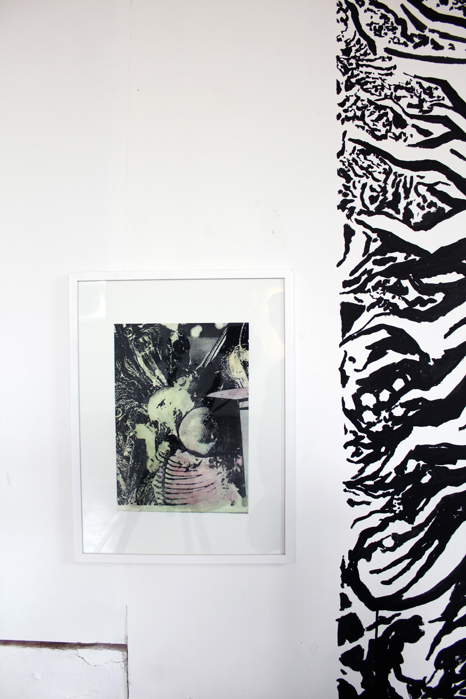 21-asbjorn-skou-leukoplakiaktisk-vegetation