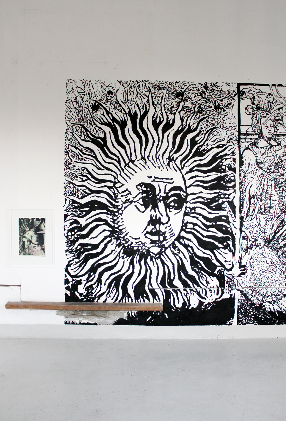 22-asbjorn-skou-leukoplakiaktisk-vegetation